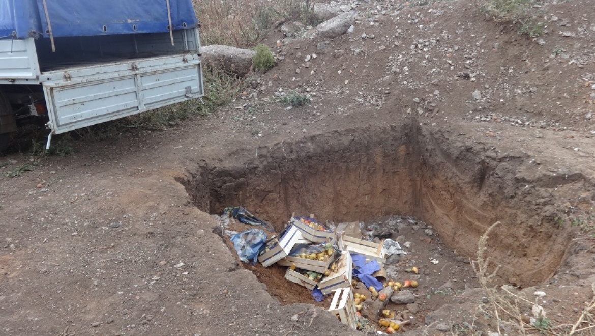 Россельхознадзор уничтожил 10 коробок польских груш