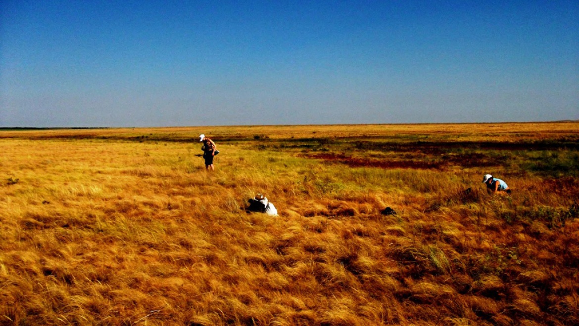 Персональная премия ученому ОГУ за изучение степей Оренбуржья