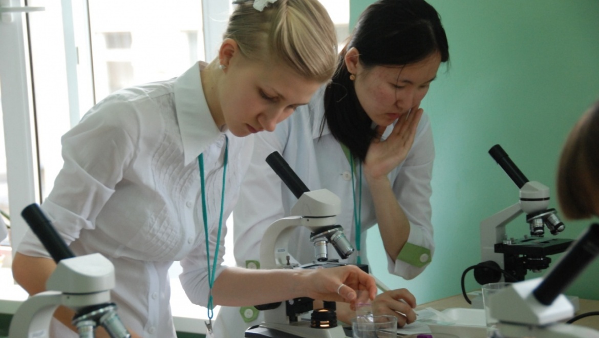 Как восстановить почву после загрязнения нефтью