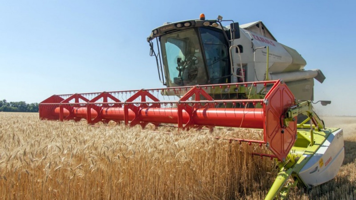 Новый рекорд: в Оренбуржье намолочено три миллиона тонн зерна