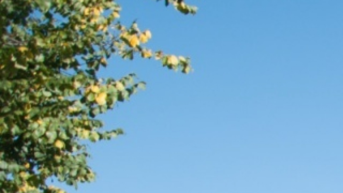 25-летие возрождения Оренбургского казачьего войска