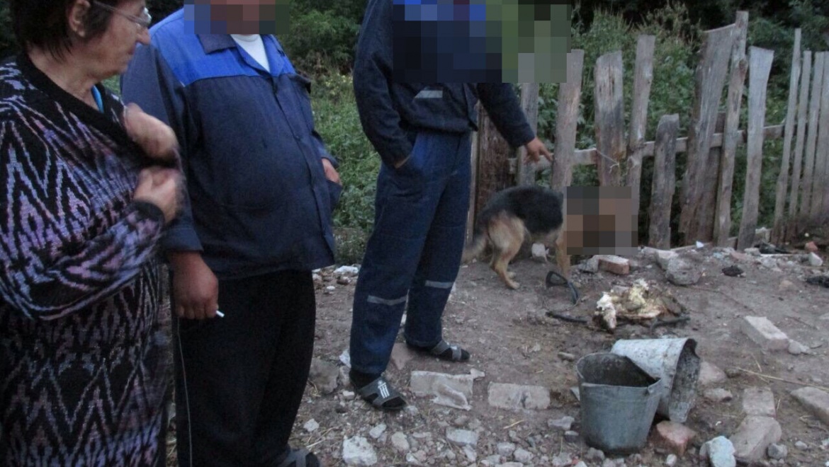 Задержана группа скотокрадов