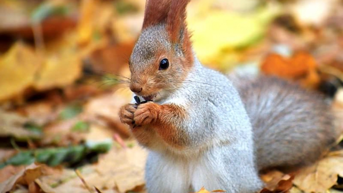 Новый проект для малышей в Губернаторском музее