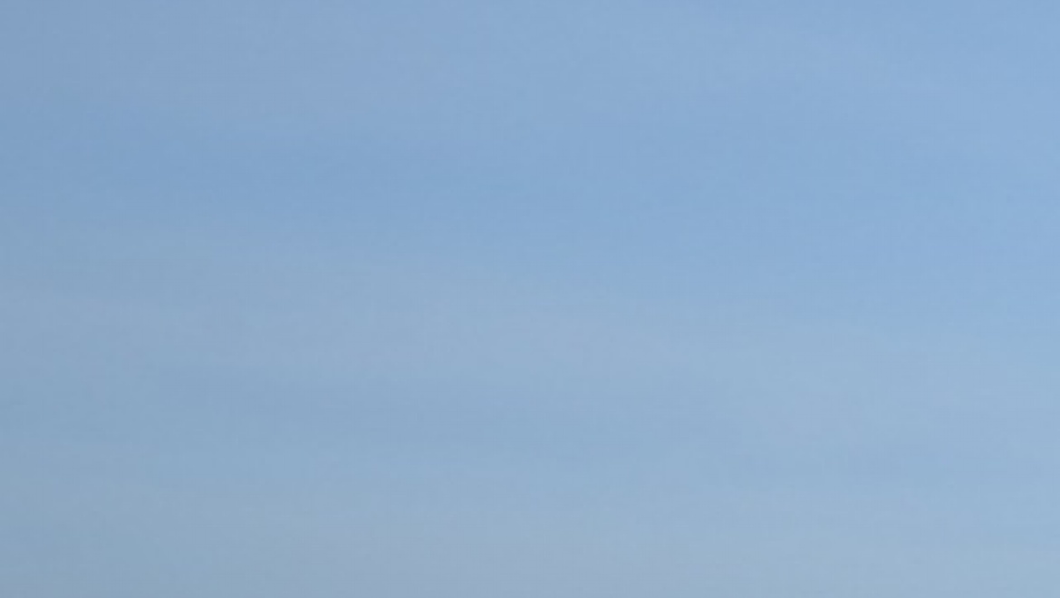 Первый день на свободе