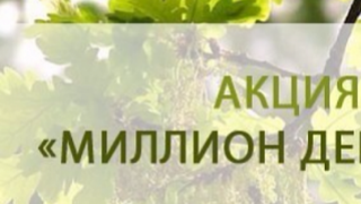 В области стартует осенний этап акции «Миллион деревьев»