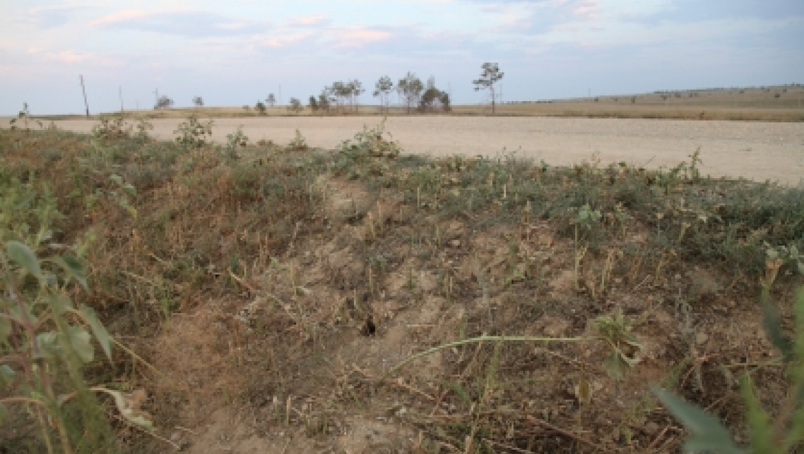 Организатор смертельного аттракциона отправится под суд