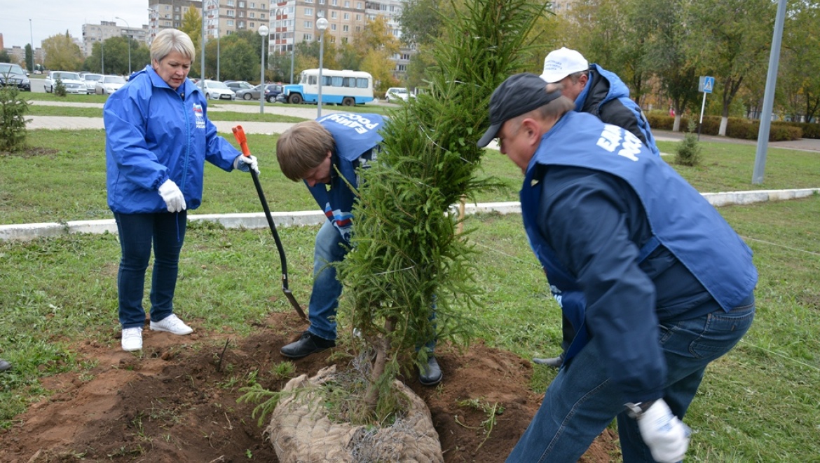 Городские депутаты приняли участие в высадке елей на улице Прохоренко