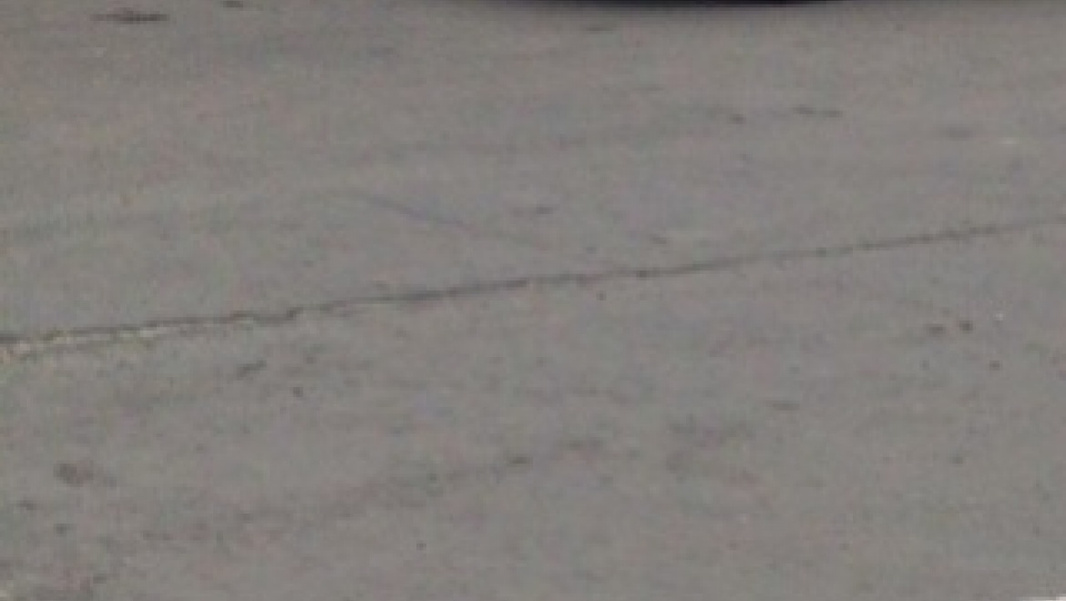 Из Москвы в Оренбург привезен шпик, зараженный африканской чумой