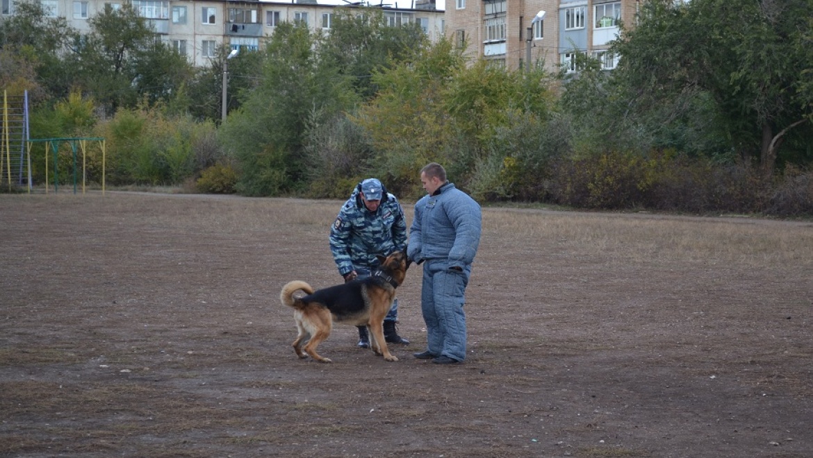 Школьникам показали способности служебной собаки