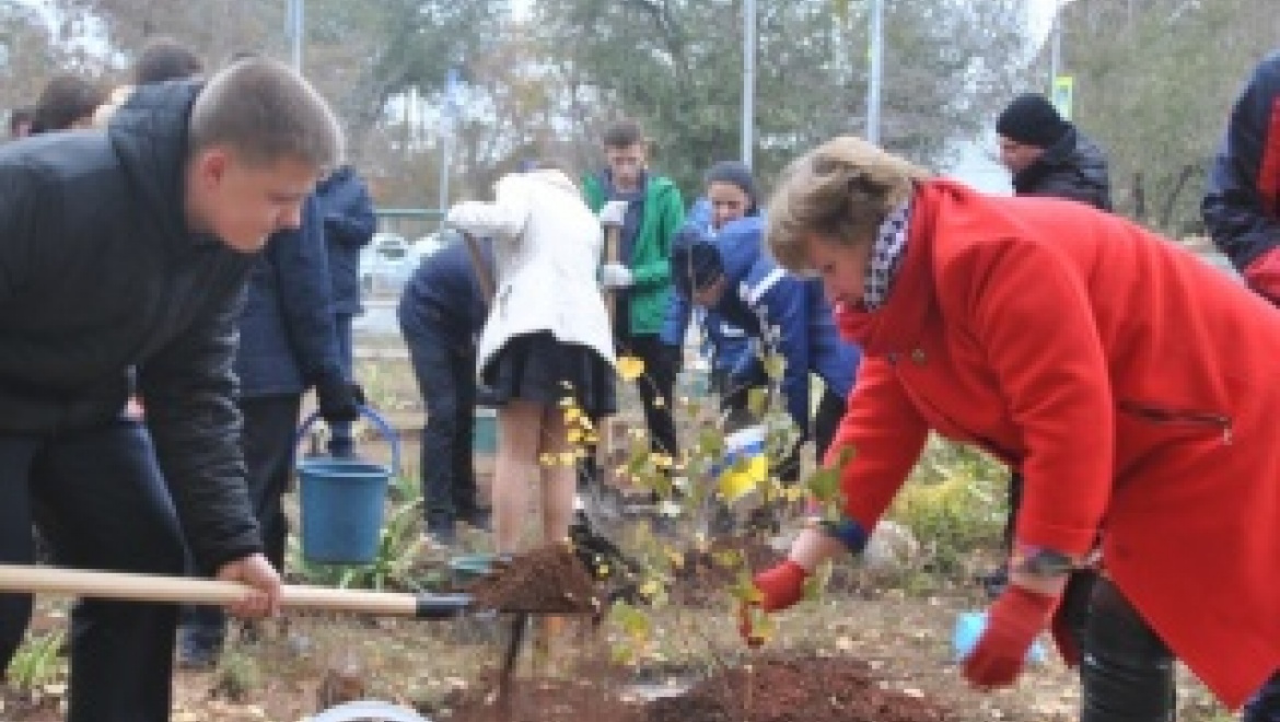 Чтобы родной Оренбург выглядел красивым и уютным