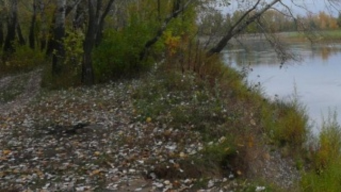 Оренбуржцы приняли участие в экологической акции «Вода России»