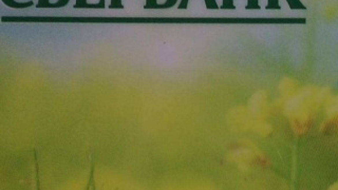 Перечислил на карту мошенника 200 000 рублей 