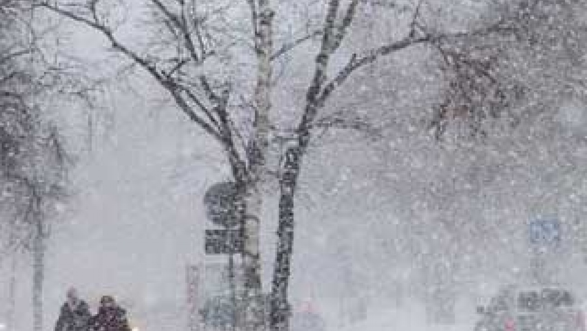 8 ноября  по области ожидаются туман и сильные осадки