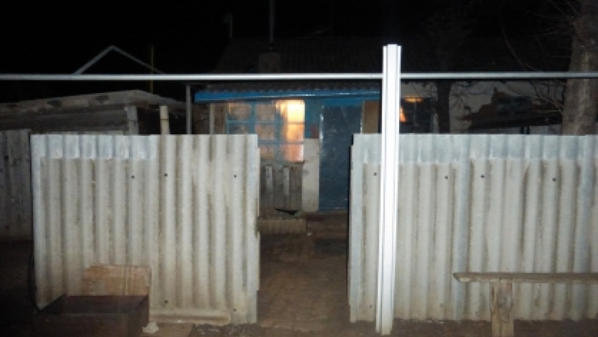 В Новосергиевском районе пенсионерка ударила топором спящего сына