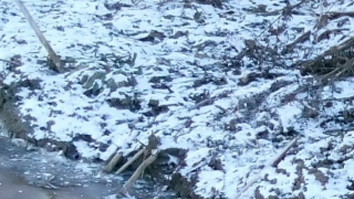 Под Оренбургом найден и обезврежен боеприпас к миномету