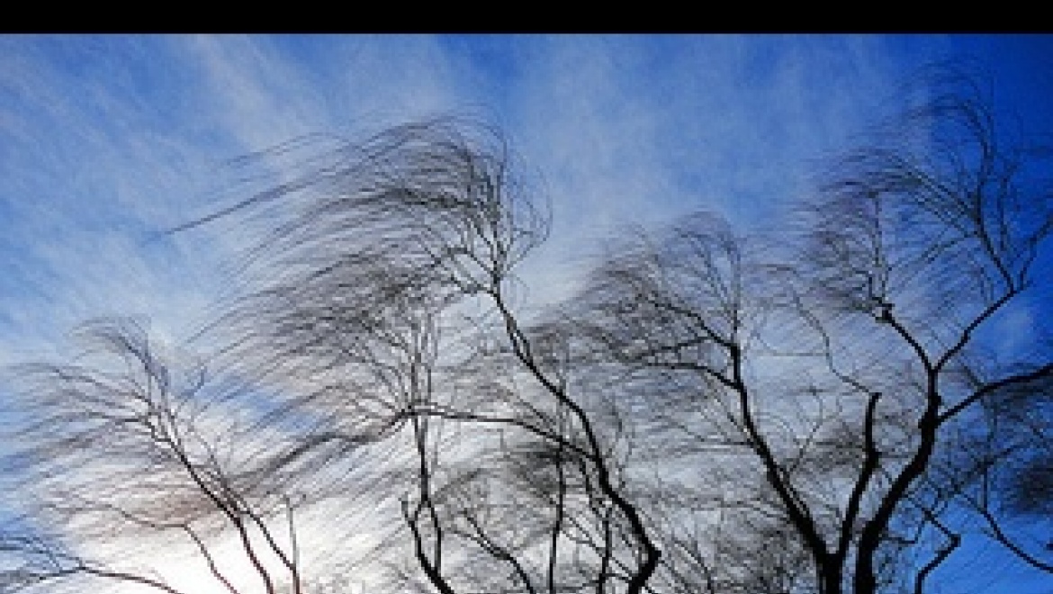 30 ноября ожидается усиление ветра