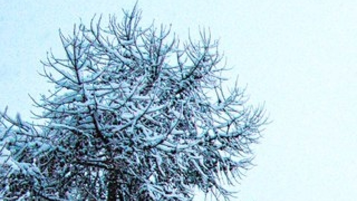 Оренбургский госуниверситет принимает студентов ОГАУ