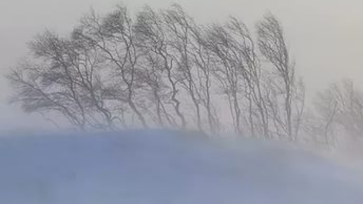 13 декабря по области ожидается усиление ветра