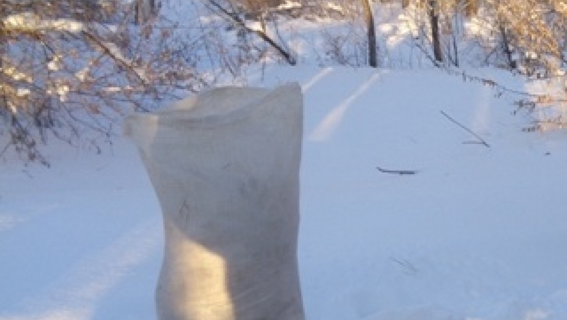 Пресечена контрабанда рыбы осетровых пород