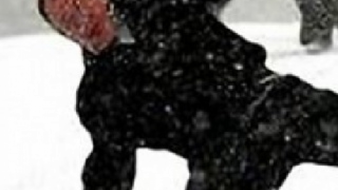 70 оренбуржцев обратились в травмпункт из-за неубранных дорог