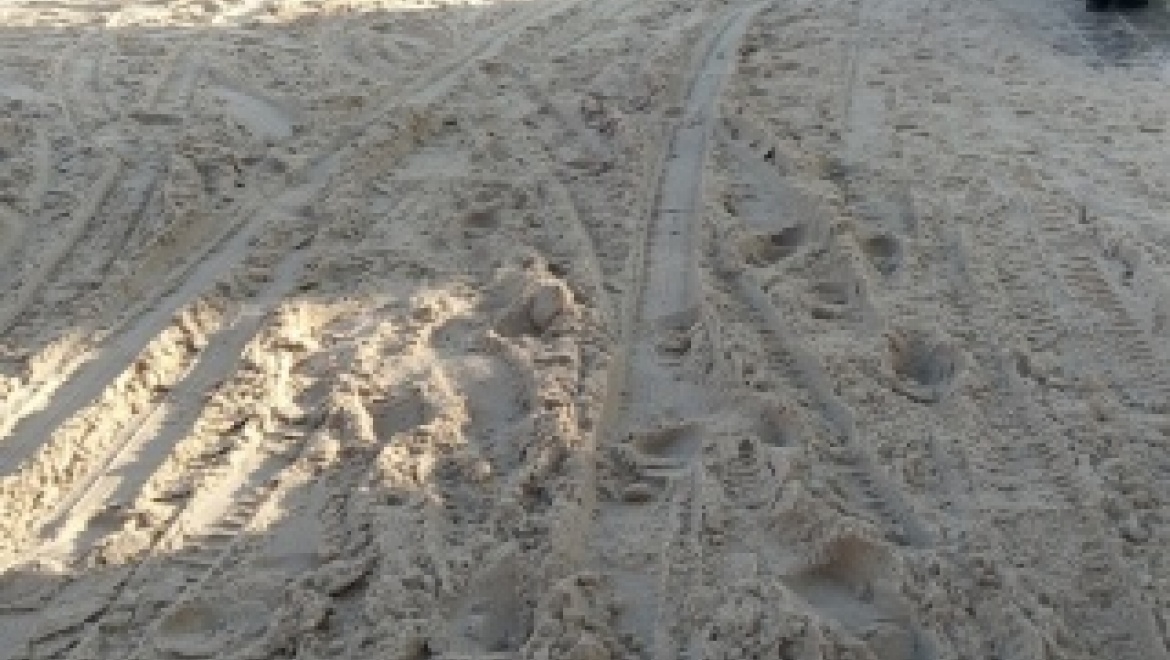 Несвоевременная уборка снега 