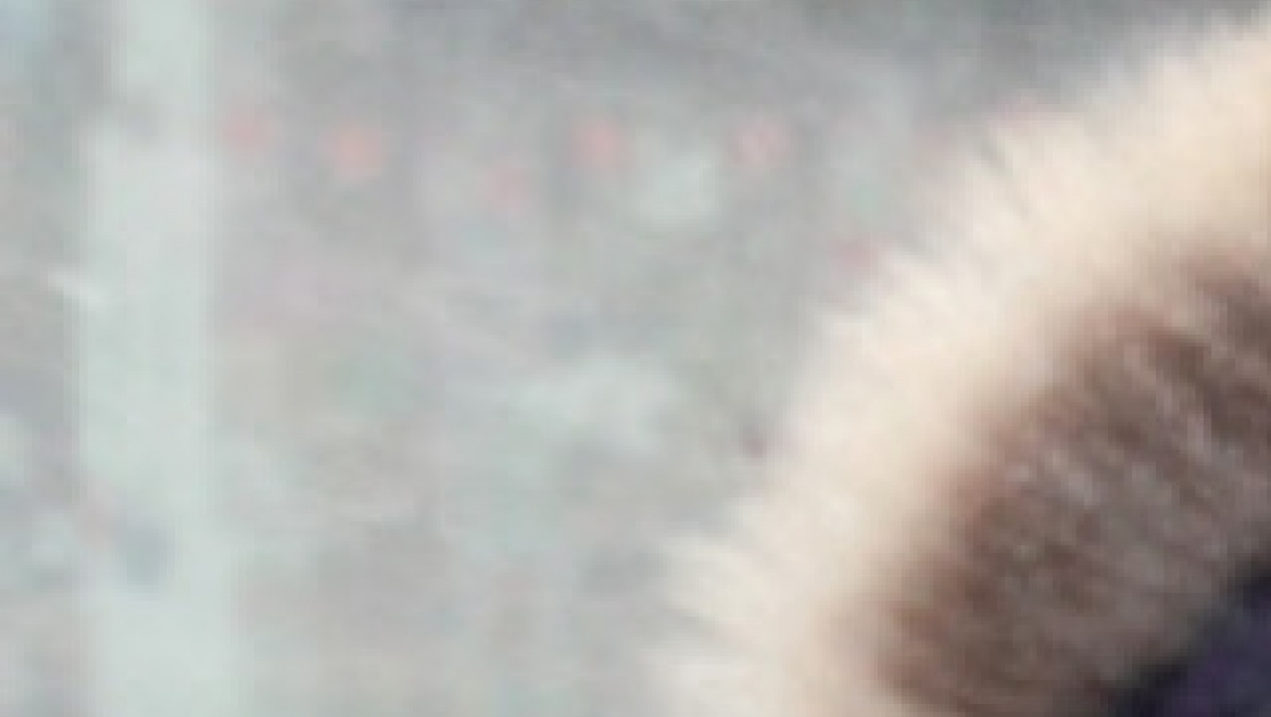 На День Святого Валентина синоптики обещают сильный ветер