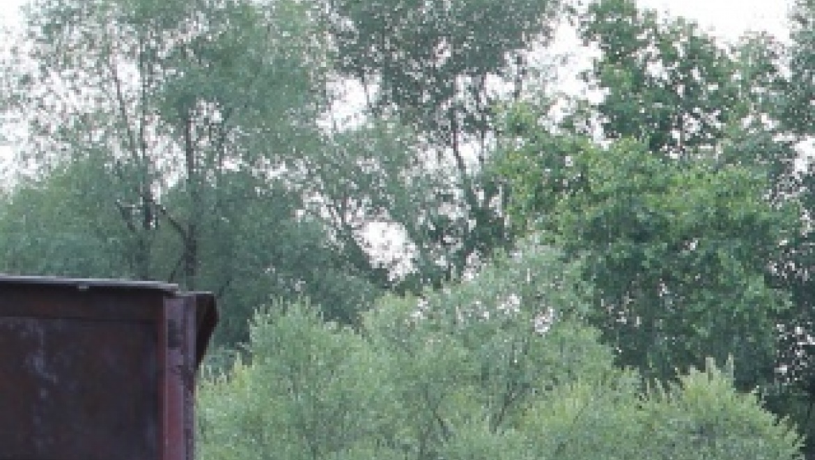 В Оренбургской области планируется провести «Генеральную уборку»