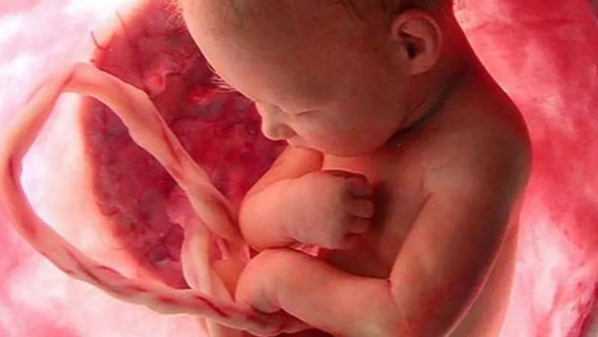 Оренбургские врачи провели переливание крови еще неродившемуся младенцу
