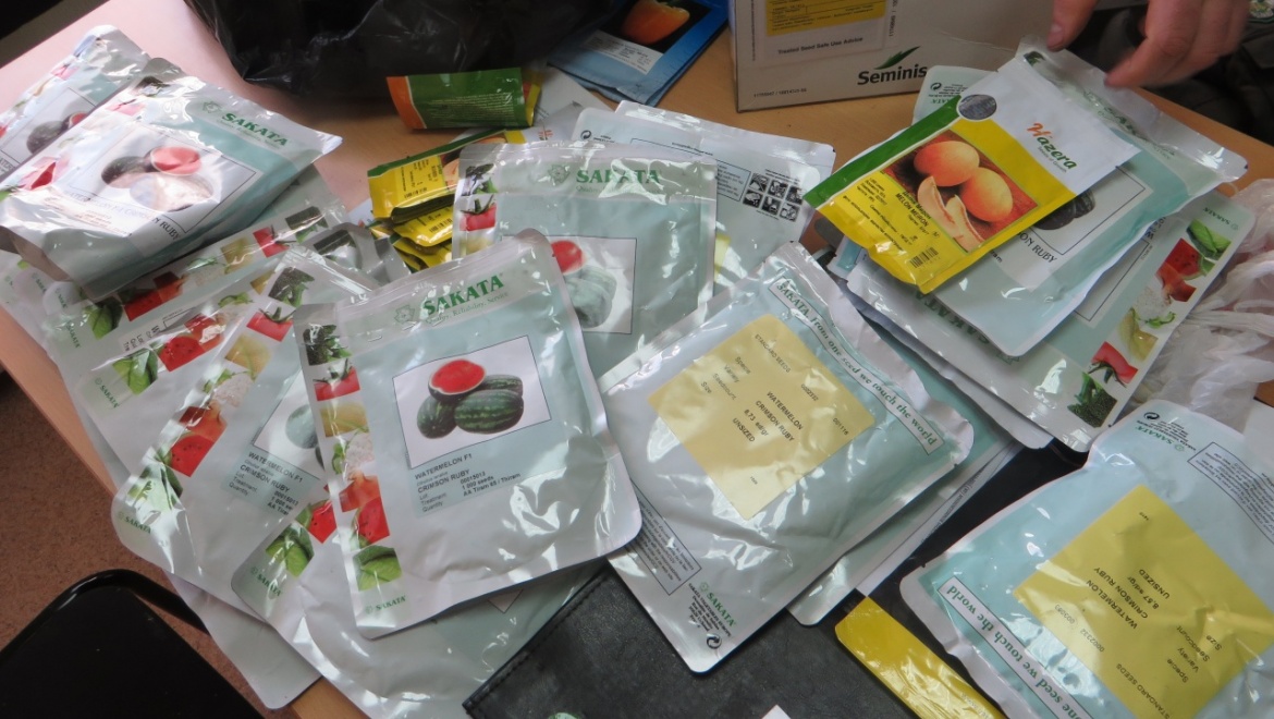 В поезде "Бишкек-Москва" незаконно провозились пакетированные семена 