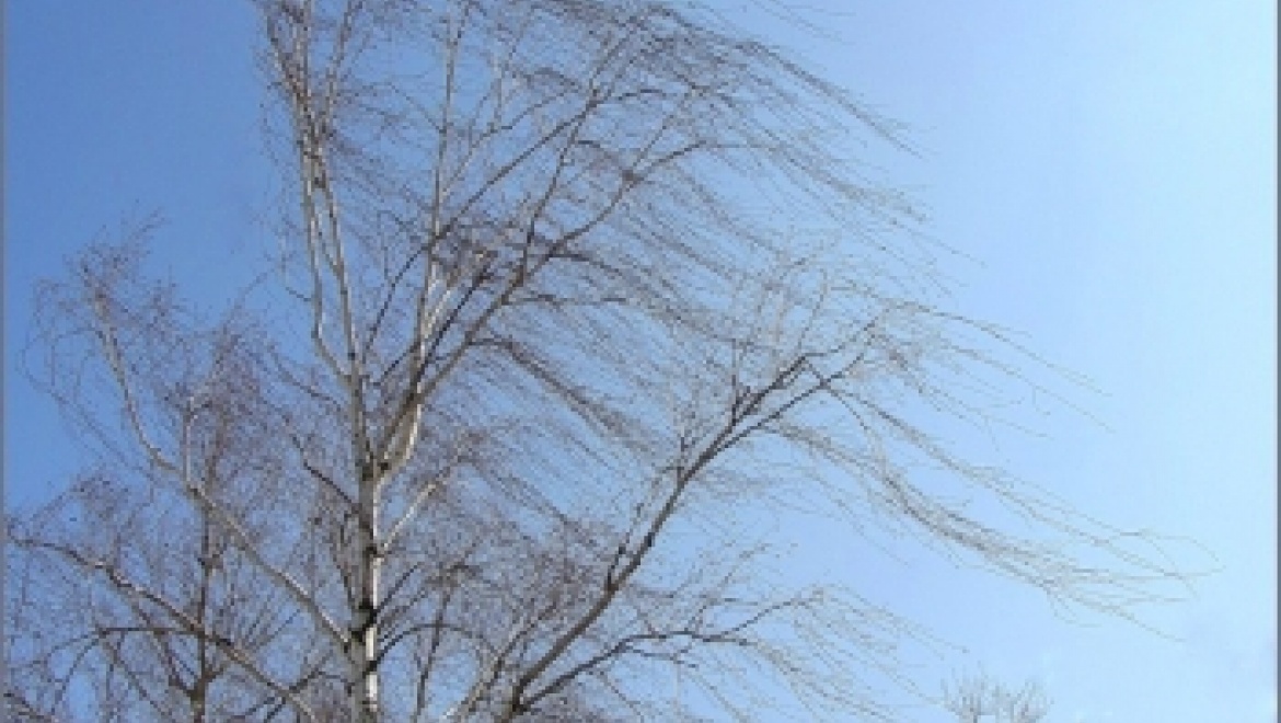 28 марта ожидается сильный ветер