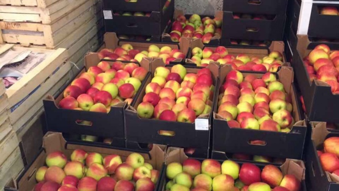 На рынке «Петровский» задержана и уничтожена крупная партия запрещенных фруктов и овощей