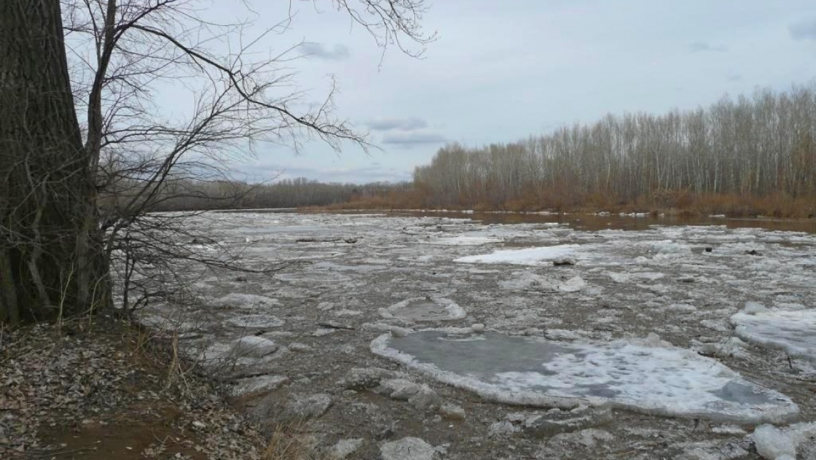 В Год экологии в области будет особый день, посвященный реке Уралу