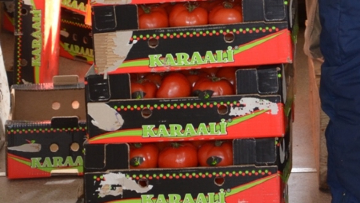 В Оренбурге три центнера томатов  переработаны в биотопливо