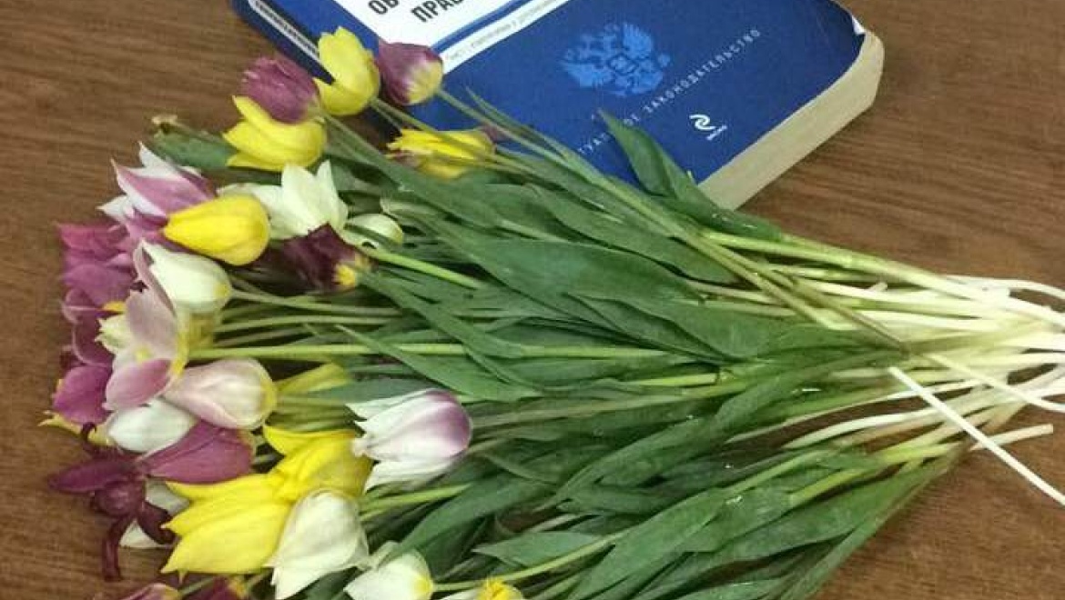 Возле остановки задержан мужчина с полевыми тюльпанами