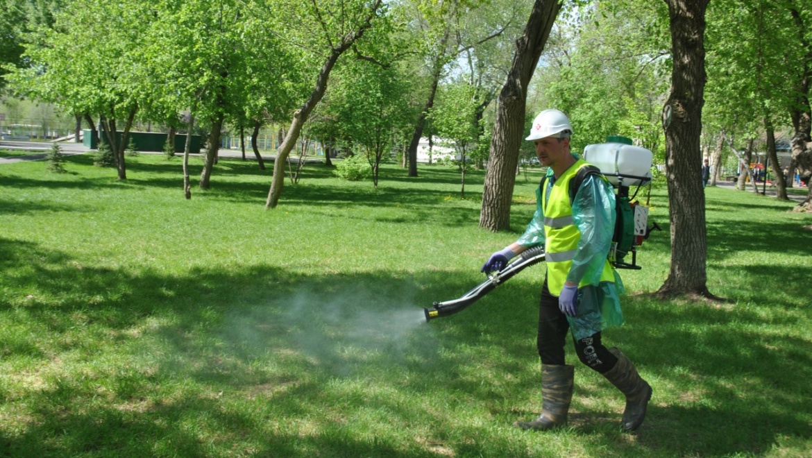 Сады, парки и скверы города обрабатывают от комаров и клещей