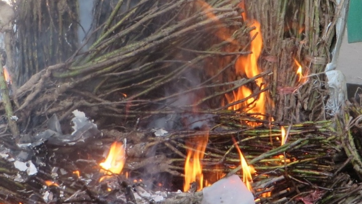 Россельхознадзор сжег незаконный груз из Казахстана