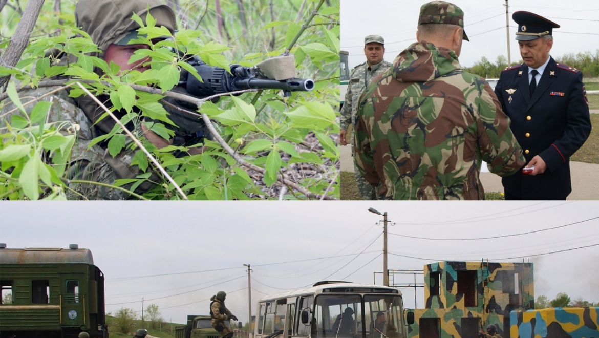 Бойцы СОБР и ОМОН завершили полевой выход