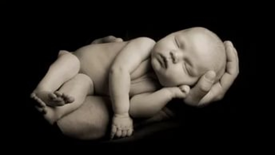 В Оренбургской области обнаружено тело новорожденного ребенка