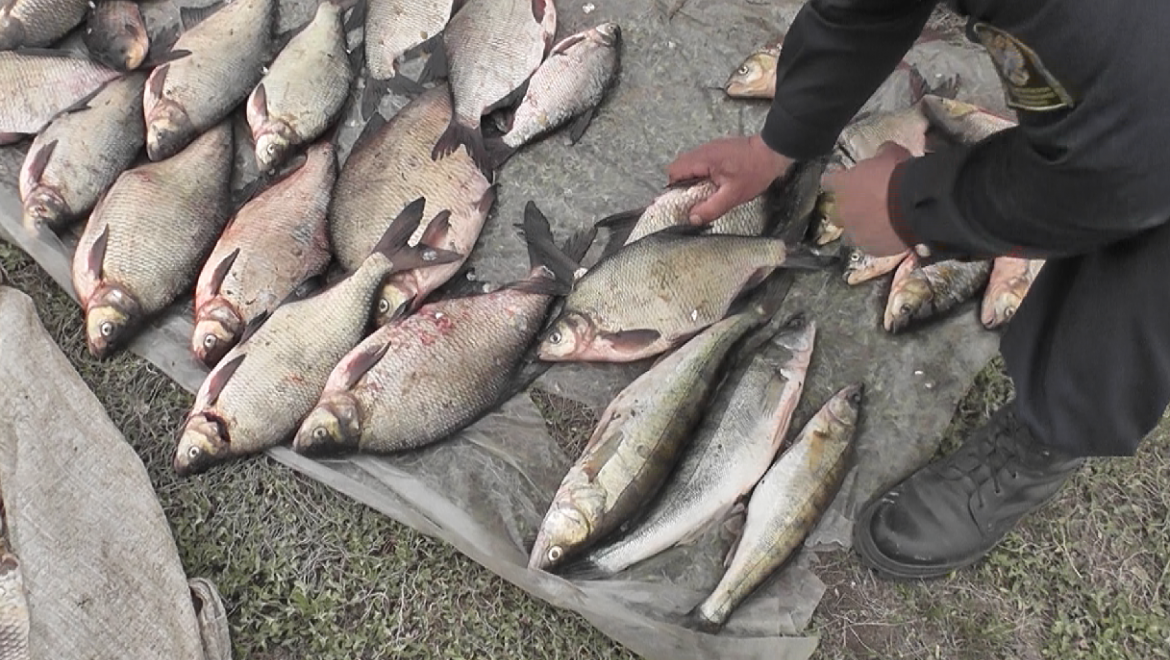 ОМОН вышел на поддержку Рыбохраны
