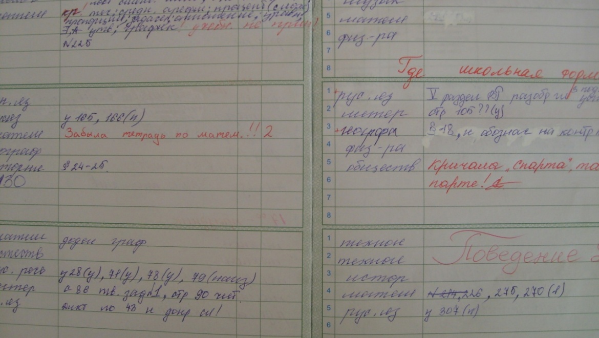 В России создают «красную летопись» из школьных дневников