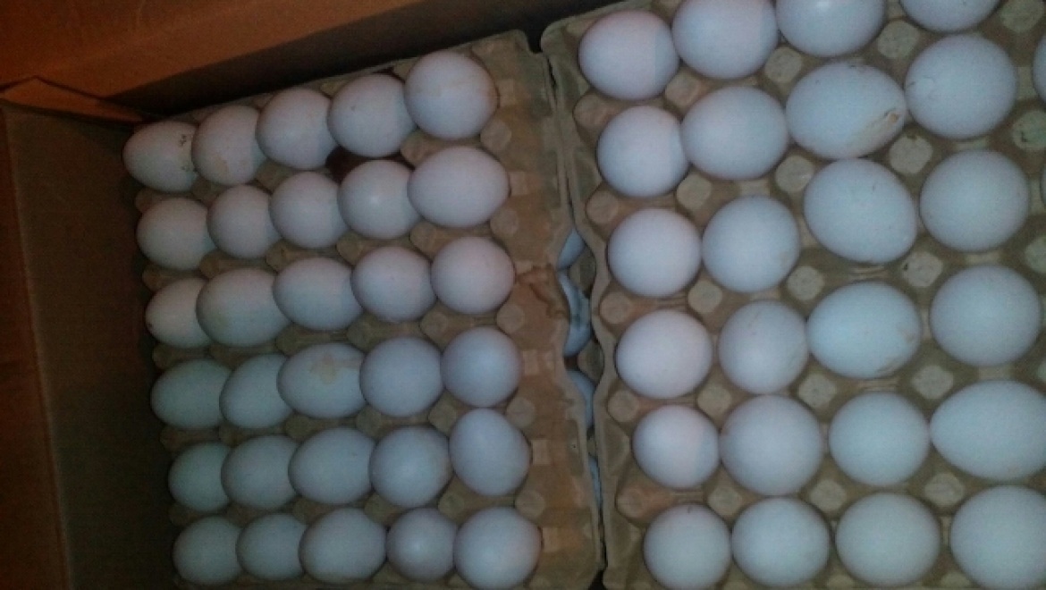 Крупная партия яиц возвращена в Казахстан