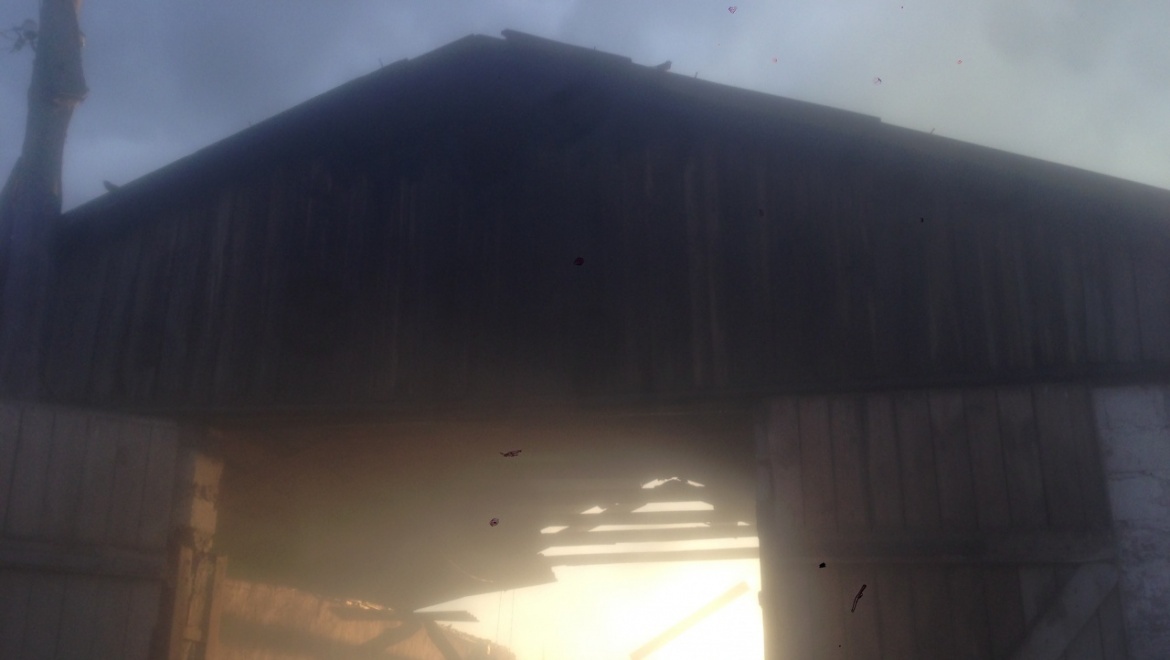 Пожар на свиноферме Беляевского района