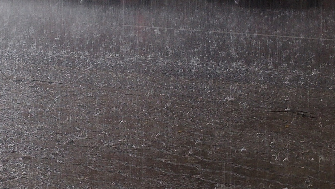 В ближайшие сутки ожидаются гроза, ливни и град