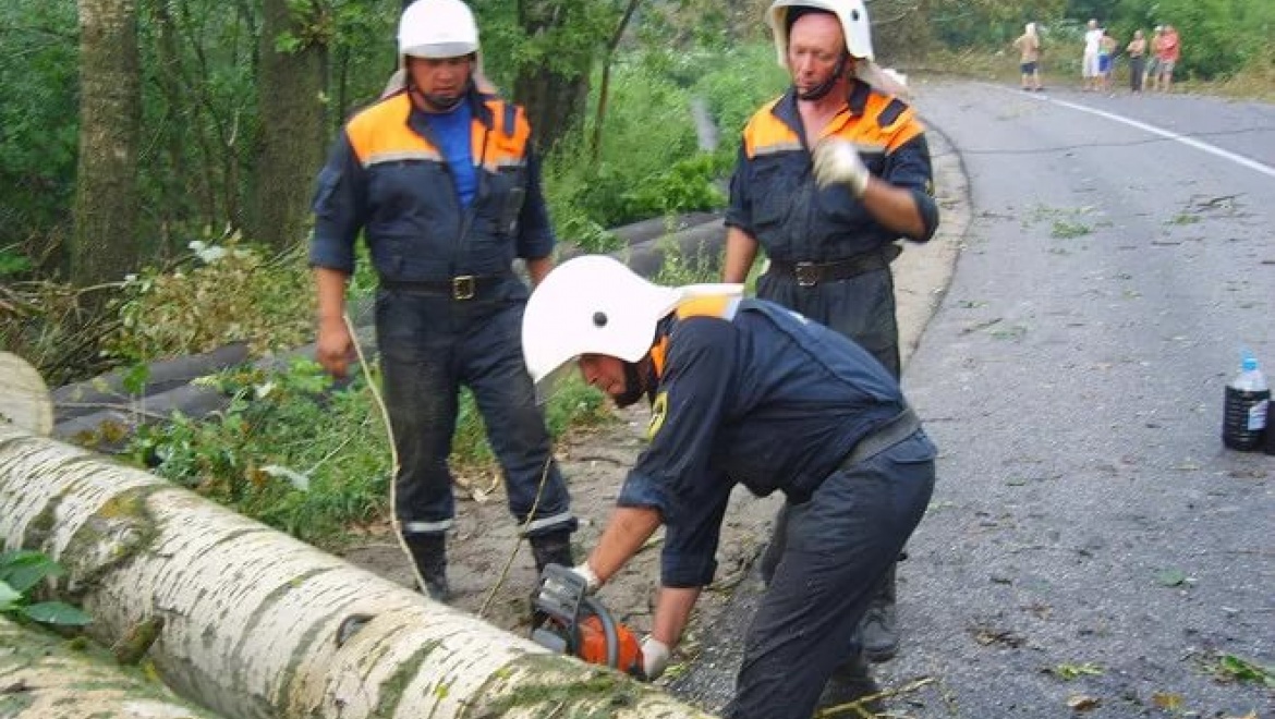 Городские службы устраняют последствия сильного ветра
