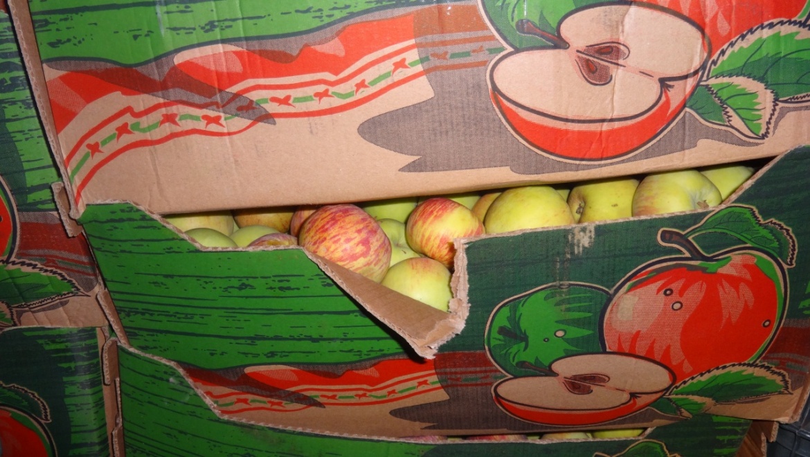 В Оренбурге утилизированы 14 ящиков польских яблок