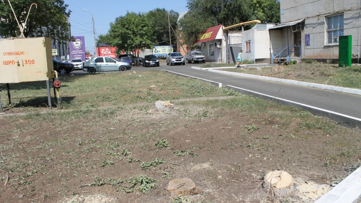 Активистов возмутила полная вырубка деревьев напротив отдела полиции