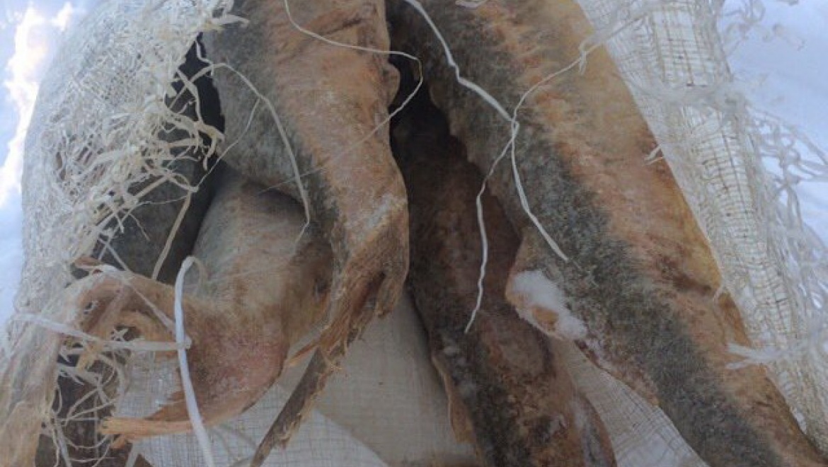 В деле по контрабанде осетровых рыб поставлена точка