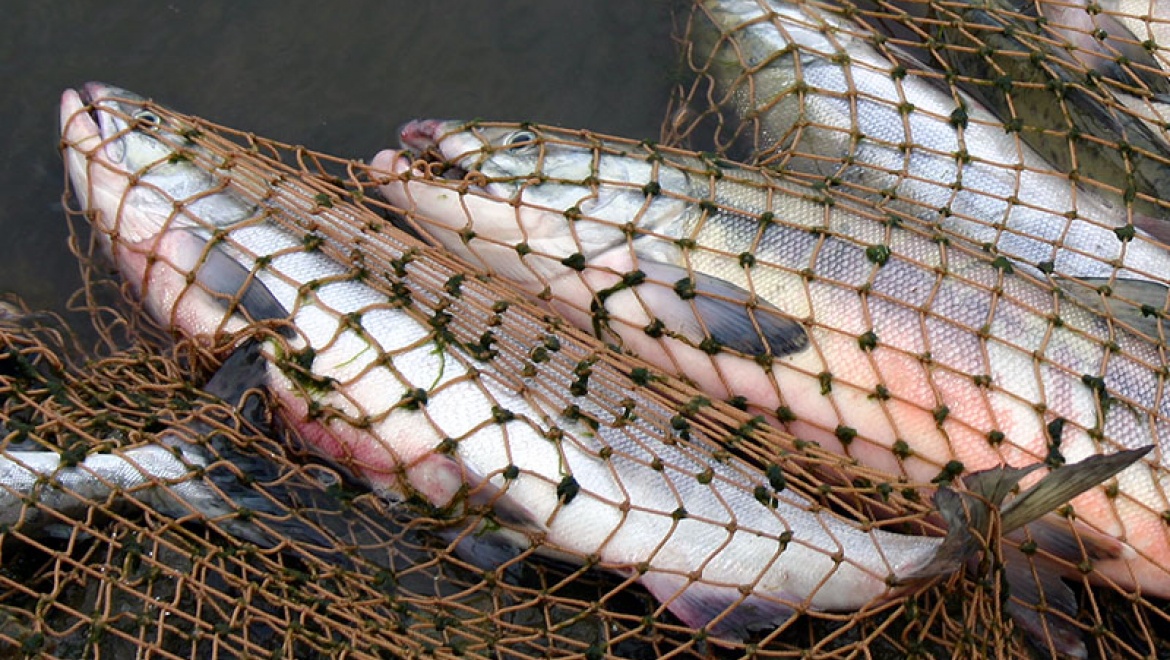 На территории Черновского водохранилища под Илеком идет рейд по браконьерам