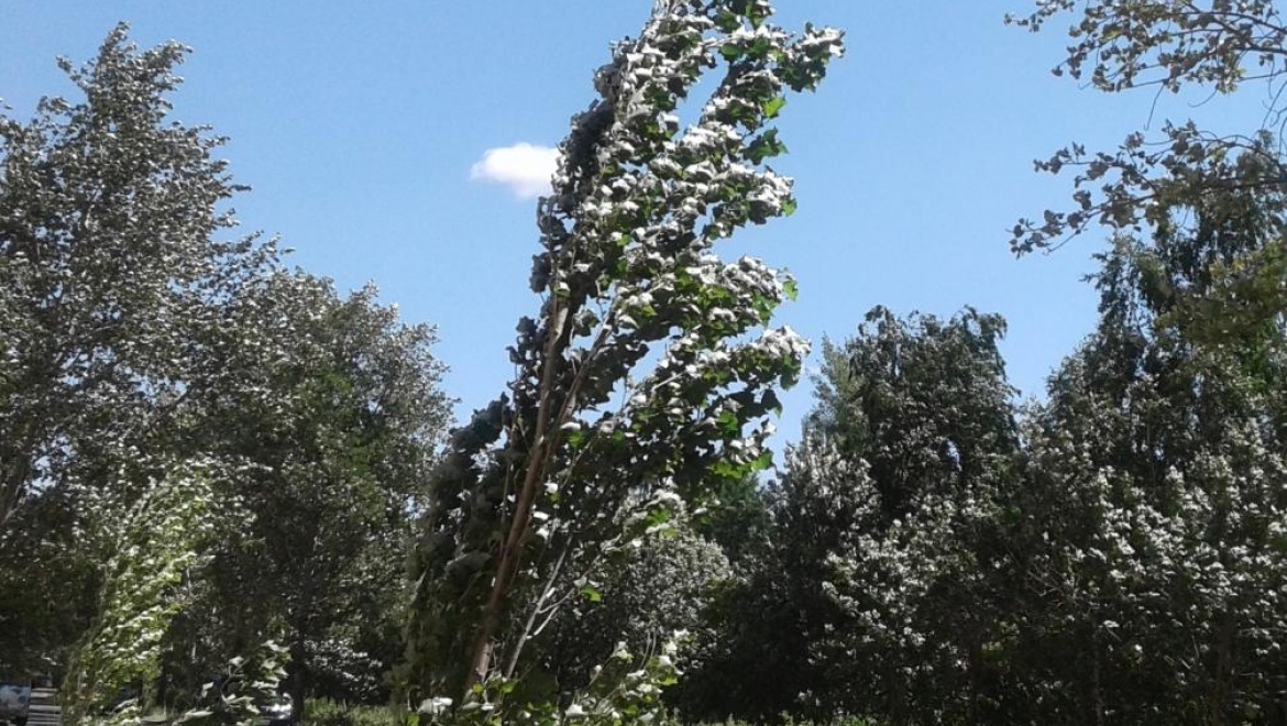 На Оренбург движется сильный ветер