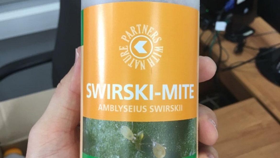 В оренбургском аэропорту задержан груз с особями насекомых